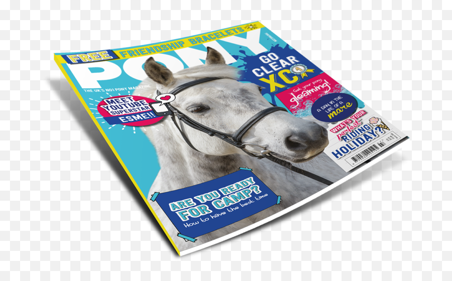 Magazine Png File Image - Stallion,Whats A Png File