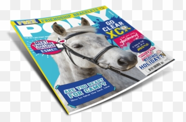 Magazine Png File Image - Stallion