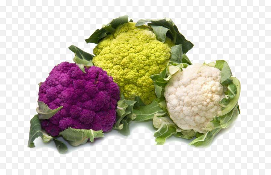 Cauliflower Png Hd Photo - Types Of Cauliflower And Broccoli Cauliflower Images Download,Broccoli Transparent