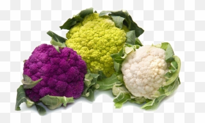 Cauliflower Png Hd Photo - Types Of Cauliflower And Broccoli Cauliflower Images Download,Broccoli Transparent