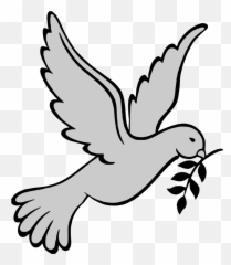 Transparent Background Dove Clipart Png - Casa Maria De Magdala