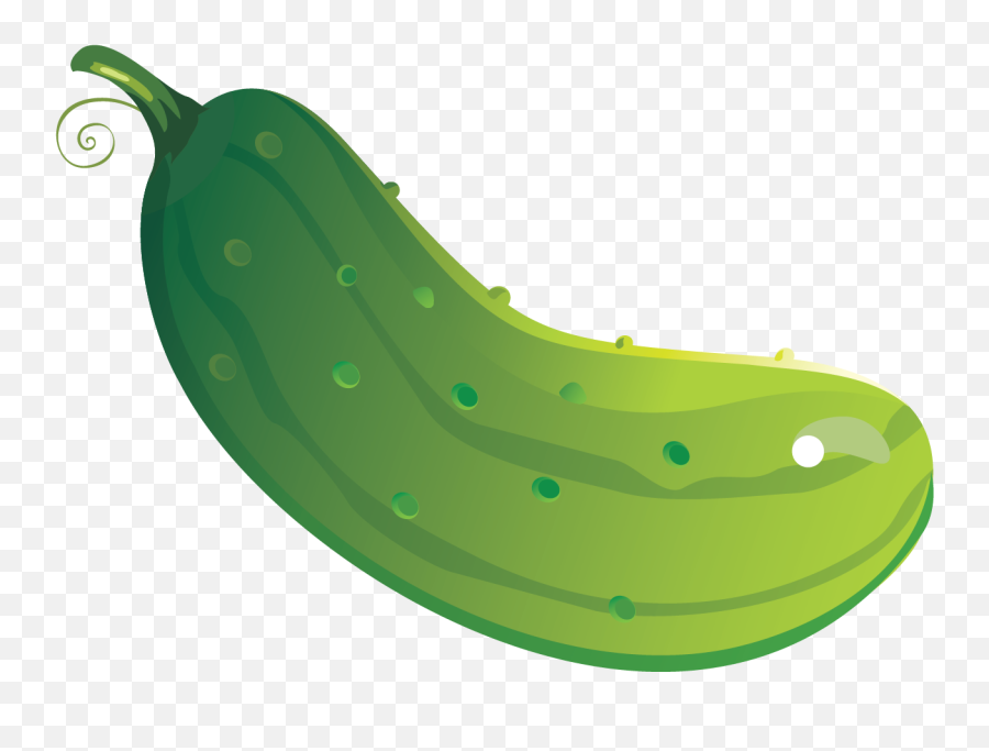 Free Png Ridge Gourd