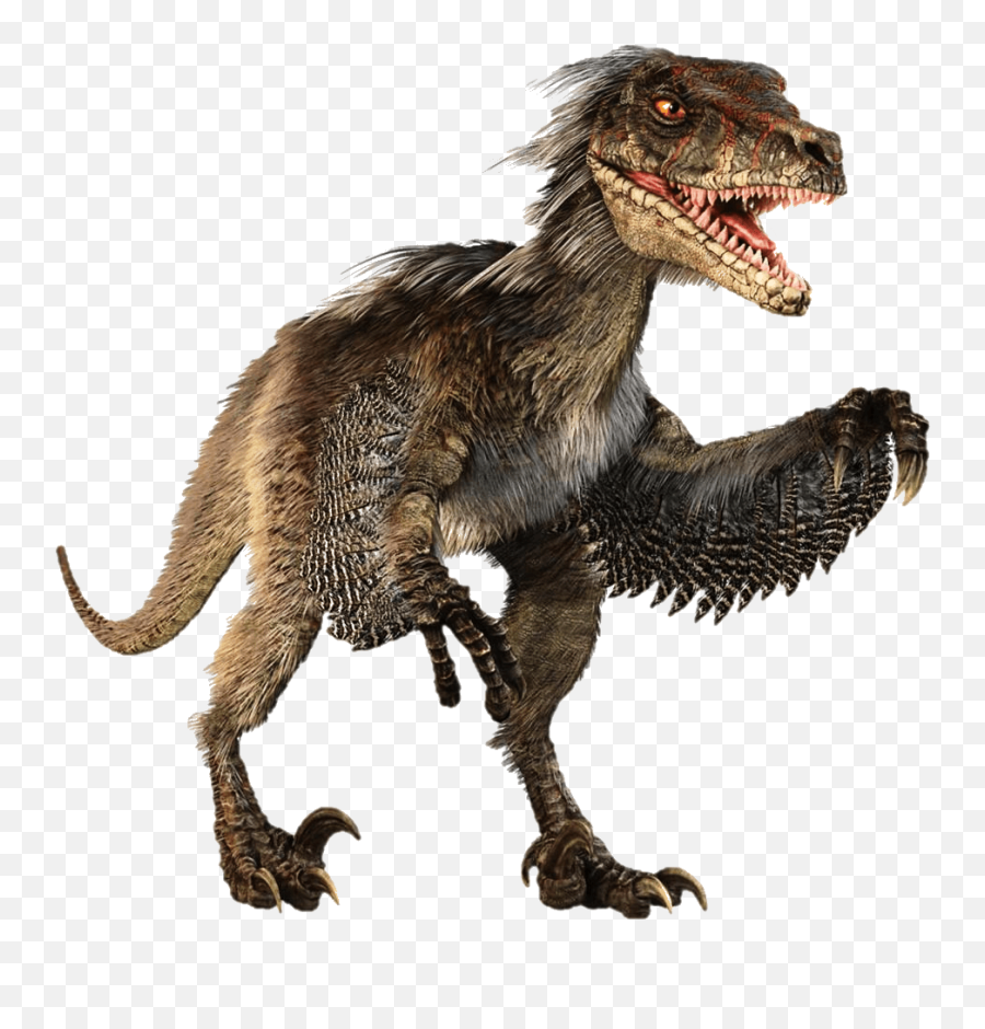 Velociraptor Dinosaur Tyrannosaurus - Velociraptor Dinosaur Png,Velociraptor Png