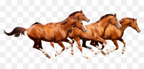 Clipart Image Four Horse Png Runing - Horses Png,Horse Clipart Png
