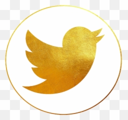 Download Twitter Logo Vector White Png Image With No - Emblem