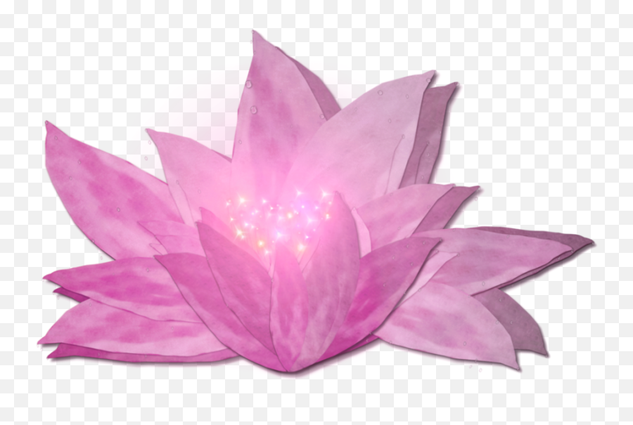Pink Lilly - Portable Network Graphics Png,Lilly Png