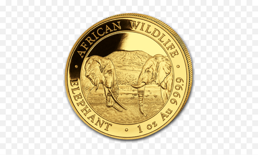 2020 1 Oz Somalia Elephant 9999 Gold Coin Bu - Gold Coin 2020 Bullion Png,Coin Transparent