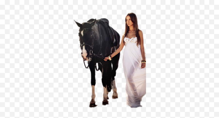 Horse Girl Prtty - Alone Girl And Horse Png,Horses Png