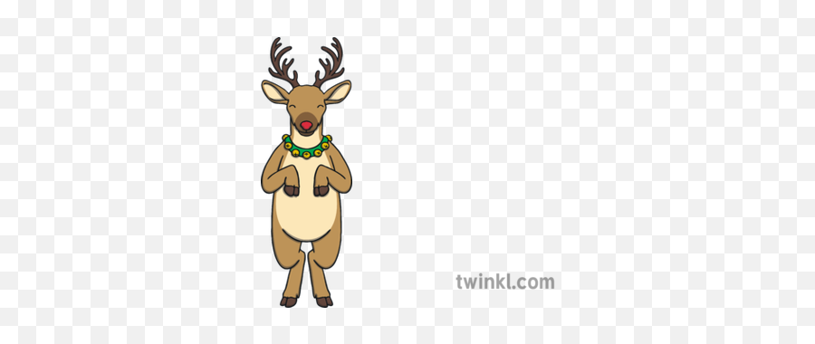 Standing Rudolph Reindeer Animal Hind Legs Red Nose - Reindeer Twinkl Png,Rudolph Nose Png