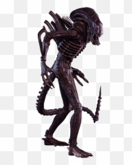 Aliens Xenomorph - Alien Figure 1 6 Png,Xenomorph Transparent