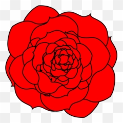 Line Art Plant Flower Png Clipart - Ground Rose