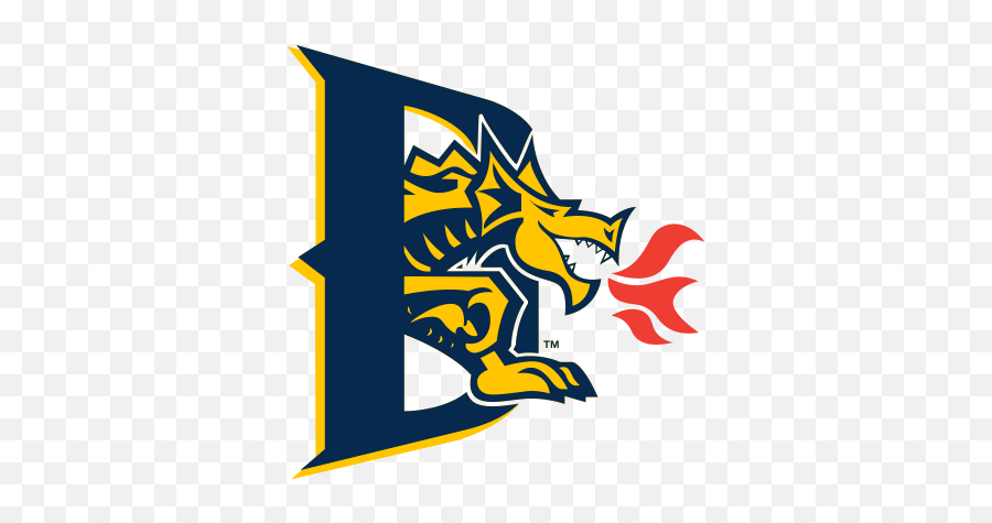 Overview - Drexel Dragons Logo Png,D Logo