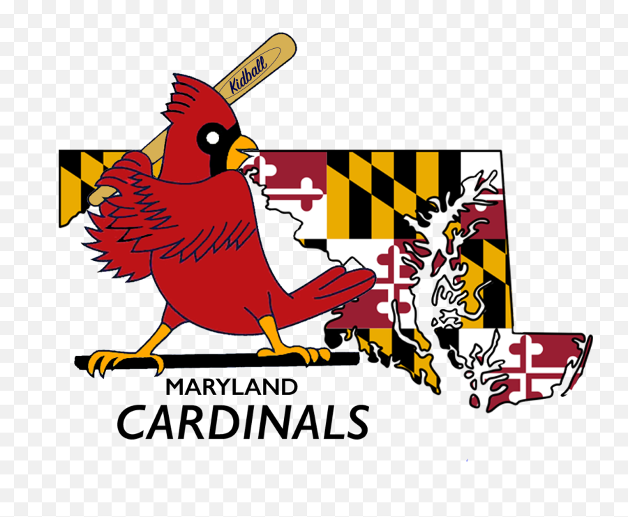 Kidball Youth Sports Programs Montgomery County Md - Maryland Cardinals Baseball Png,Cardinal Baseball Logos