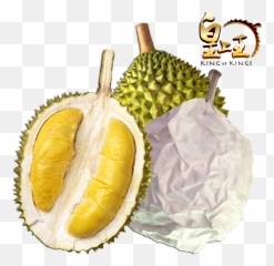 Liquid Nitrogen Frozen Musang King - Durio Zibethinus Png,Durian Png