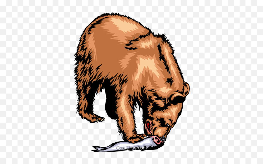 Grizzly Bear Eating A Salmon Royalty Free Vector Clip Art - Bear Eating Png,Salmon Transparent Background