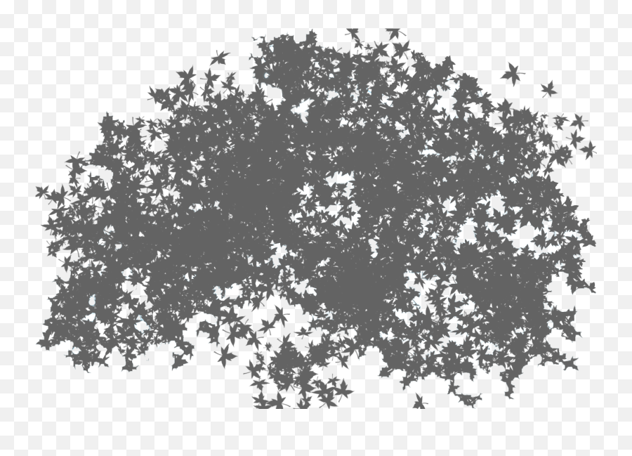 Tree Png Available In Different Size - Transparent Tree Shadow Png,Black Tree Png