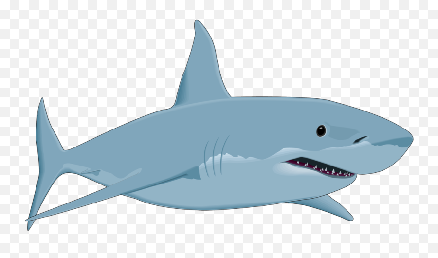 Great White Shark Drawing Clip Art - Great White Shark Cartoon Png,Shark Clipart Transparent Background