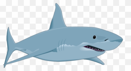 Great White Shark Drawing Clip Art - Great White Shark Cartoon Png,Shark Clipart Transparent Background
