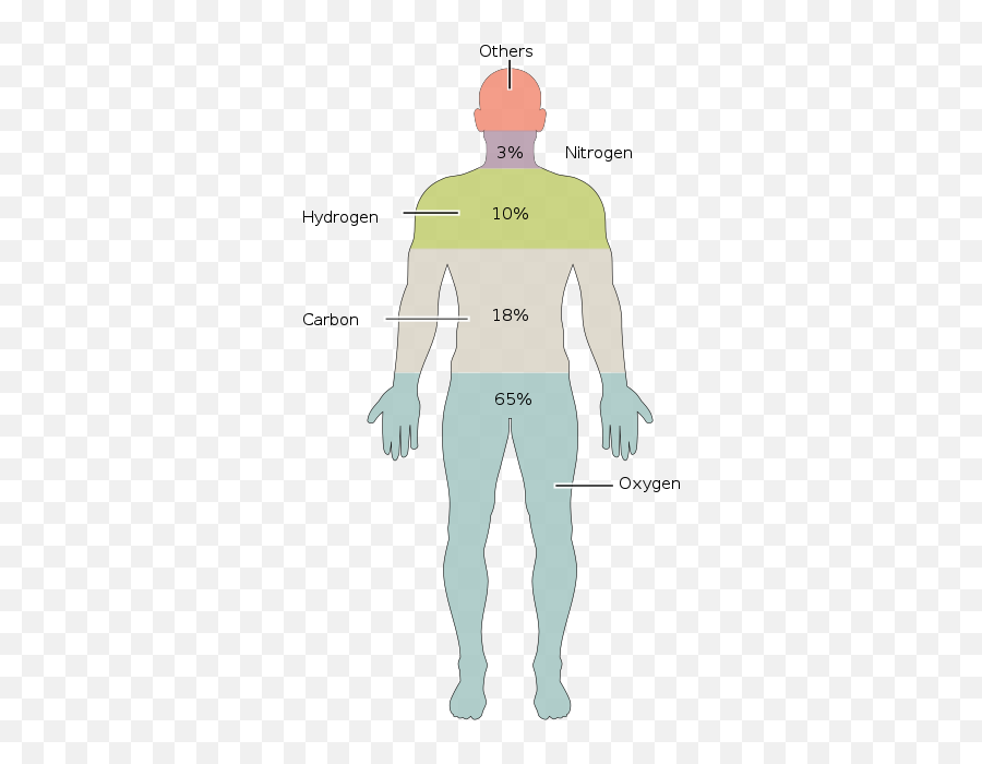 Macjsieu0027s Blog - Elements In The Human Body Png,Htc Dna Icon Glossary