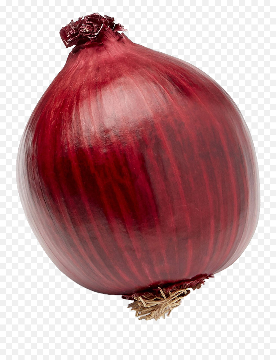 Onion Png Background Image