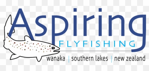 Aspiring Fly Fishing Trout Guides Lake Wanaka - png