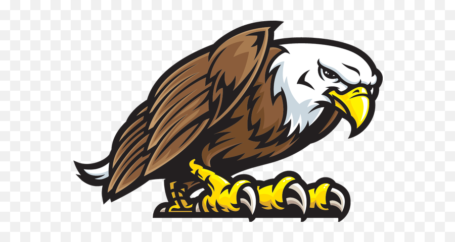 Eagle Head Clip Art Free For Kids - Eagle Mascot Logo Png Eagle Mascot Logo Png,Eagle Head Png
