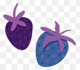 The Og Acai Bowl - Blenders and Bowls png