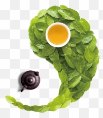 Green Tea Png Download - 26002600 Free Transparent Tea Top View Green Tea Png,Tea Png