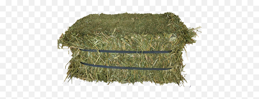 Hay Transparent Png Image - Alfalfa Sprouts,Hay Png