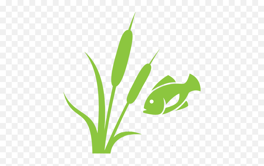 Cropped - Pond Png,Boss Png