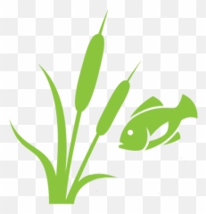 Cropped - Pond Png,Boss Png