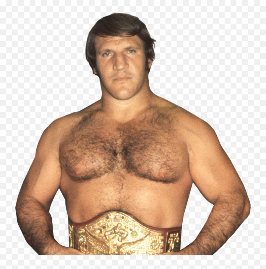 Gone But Not Forgotten Professional Wrestling Lost Memorable - Bruno Sammartino Png,Sheamus Png