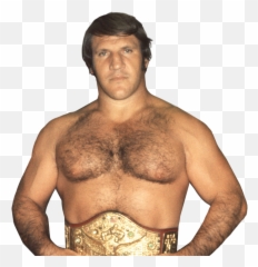 Gone But Not Forgotten Professional Wrestling Lost Memorable - Bruno Sammartino Png,Sheamus Png