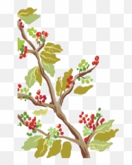 Coffee Cartoon Png - Illustration