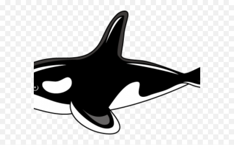 Orca Clipart - Killer Whale Clipart Png,Whale Clipart Png