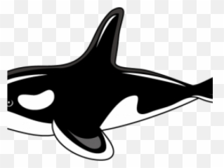 Orca Clipart - Killer Whale Clipart Png,Whale Clipart Png