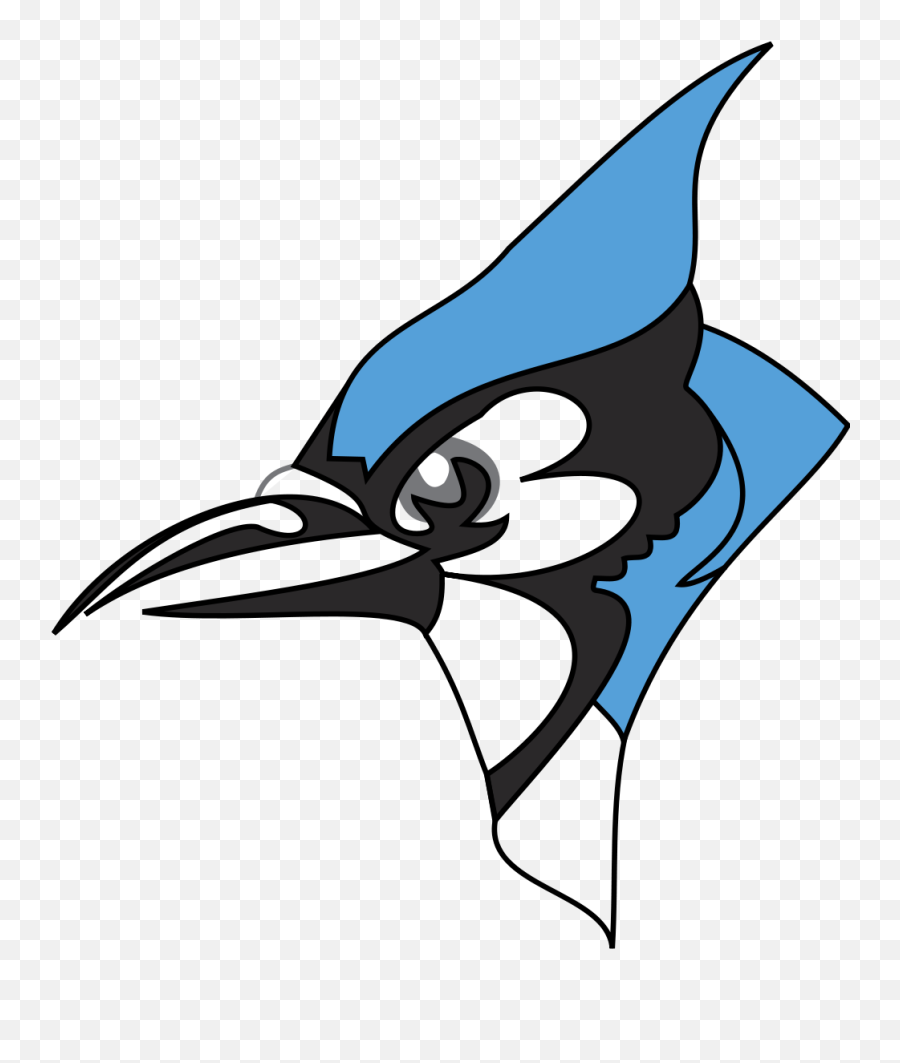 Blue Jay Png 1 Image - Johns Hopkins Blue Jay,Blue Jay Png