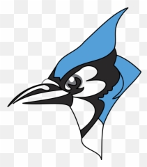 Blue Jay Png 1 Image - Johns Hopkins Blue Jay,Blue Jay Png