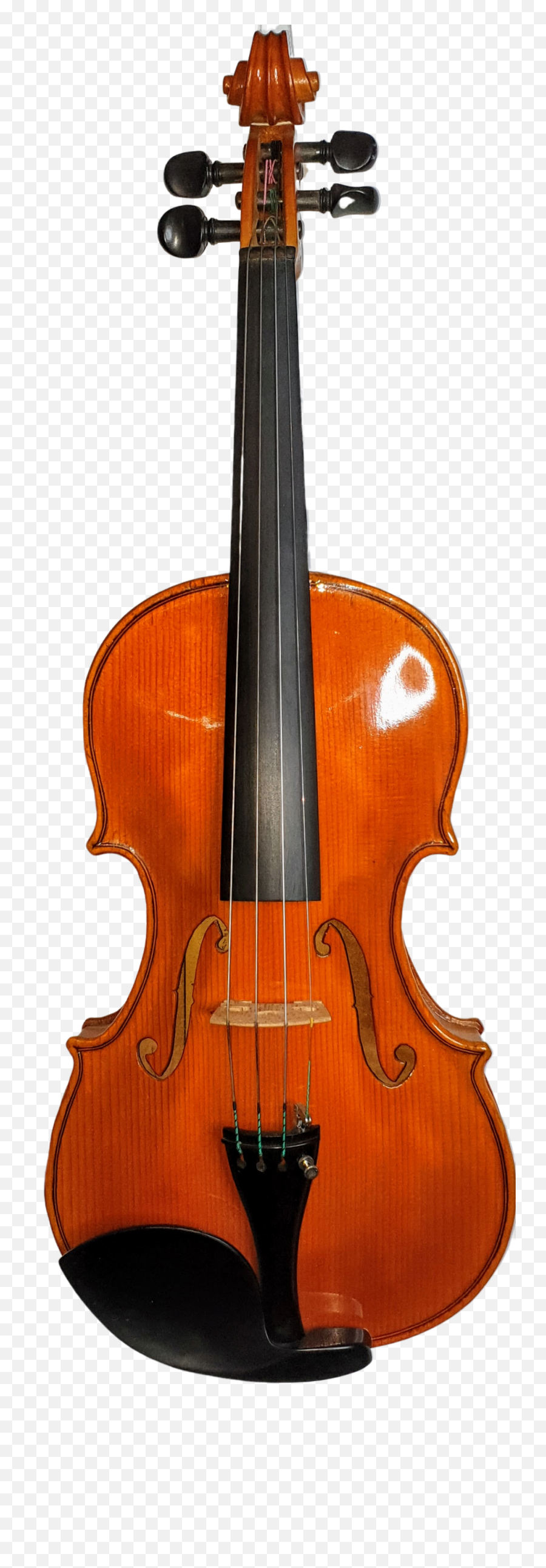 Melbourne Violin Cello And Viola Maker U2014 Fergusonstringscom Png
