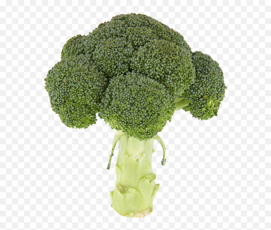 Jumbo Biologische Broccoli - Broccoli Biologische Broccoli Png,Brocolli Png