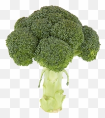 Jumbo Biologische Broccoli - Broccoli Biologische Broccoli Png,Brocolli Png