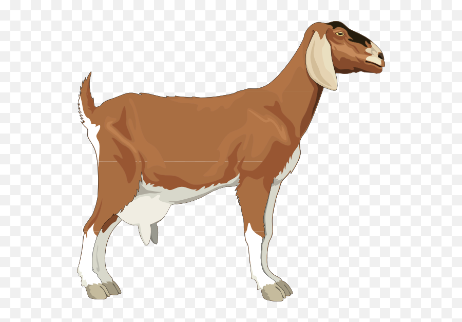 Male Goat Clipart Png - Clipart Images Of Goat,Goat Png