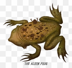Crazy Frog Png - Frog Monster,Crazy Frog Png