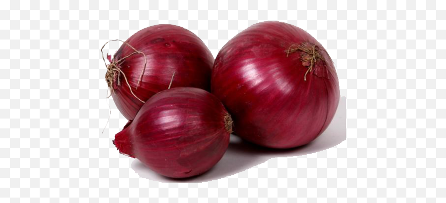 Red Onion - Best Onion In India Png,Onion Transparent