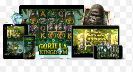 Gorilla Kingdom U2013 Client Area Png Transparent Background