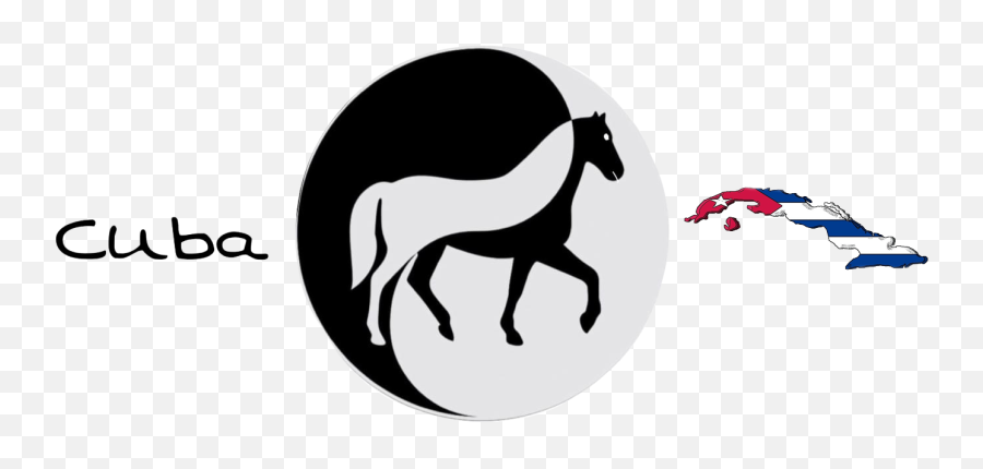 Jmc Viñales Aventura Horse - Riding U2013 Découvrir Cuba Autrement Cuba Flag Png,Stallion Logo
