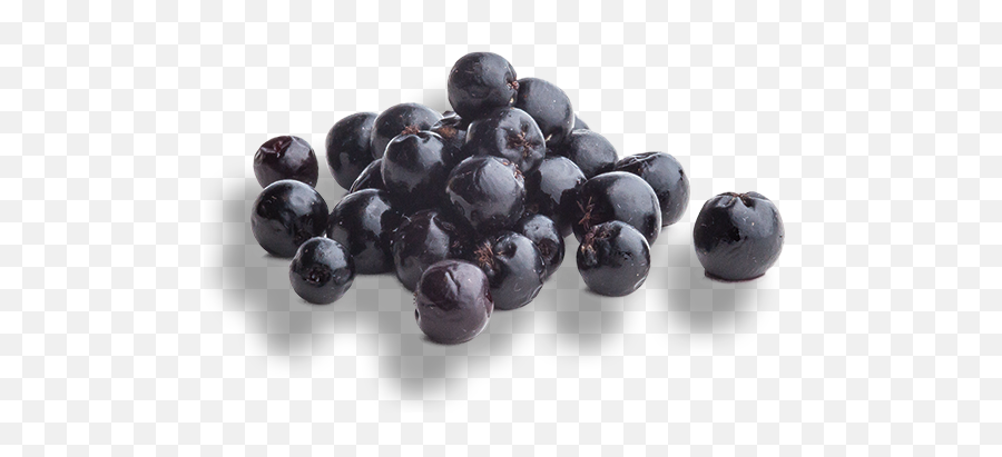 Aronia Source Of Healthy Antioxidants Berryactives - Superfood Png,Berry Png