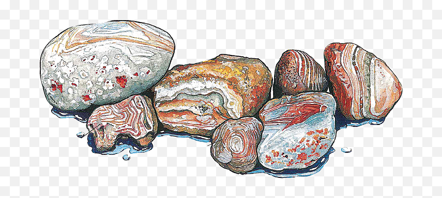 The Rock Pickeru0027s Guide To Lake Superior Northern Wilds - Lake Superior Agate Drawing Png,Rocks Transparent