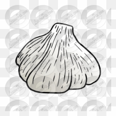 Garlic Picture For Classroom Therapy Use - Great Garlic Garlic Png,Garlic Png