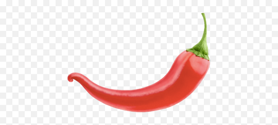 Red Chili Pepper Png - Chili Pepper Png,Red Pepper Png